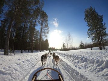 KUZEY`İN IŞIKLI KIŞ MASALI LAPLAND (4 gün 3 gece)
