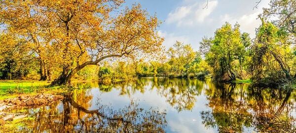 EDİRNE İĞNEADA LONGOZ ORMANLARI TURU (1 GECE KONAKLAMA) 2026