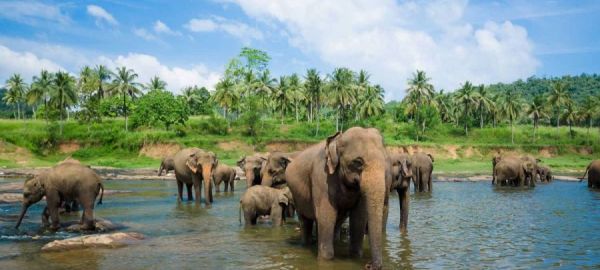 SRİ LANKA TURU 2027