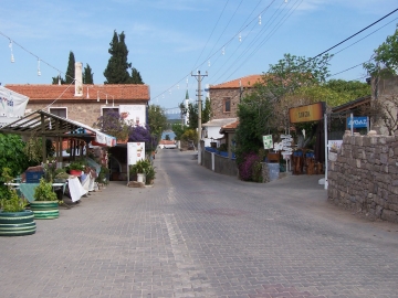 SEFERİHİSAR MANDALİNA ŞENLİĞİ