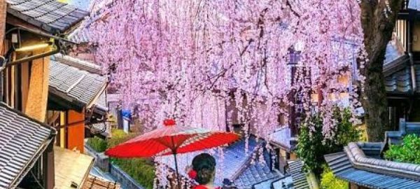 JAPONYA SAKURA ZAMANI