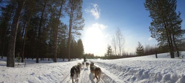 KUZEY`İN IŞIKLI KIŞ MASALI LAPLAND (4 gün 3 gece)