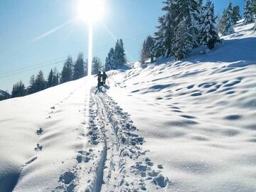 YILBAŞI ABANT KARTEPE ORMANYA ULUDAĞ TURU