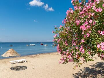 ERDEK AVŞA ADASI TURU 2026