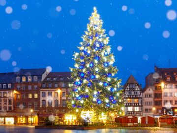 ALSACE COLMAR & ALP DAĞLARI (NOEL PAZARLARI)