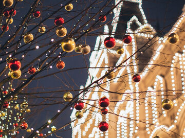 ALSACE COLMAR & ALP DAĞLARI (NOEL PAZARLARI)