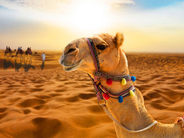 DUBAI  ABU DHABI TURU (4 GECE KONAKLAMALI)