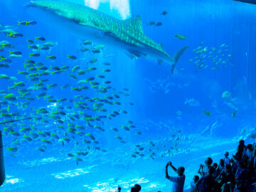 DUBAI  ABU DHABI TURU (4 GECE KONAKLAMALI)