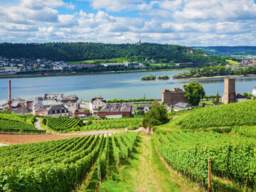 AVRUPA`NIN KALBİNDE MASAL DURAKLARI ALMANYA, FRANSA & İSVİÇRE