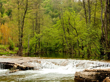 EDİRNE İĞNEADA LONGOZ ORMANLARI TURU (1 GECE KONAKLAMA) 2026