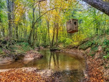 EDİRNE İĞNEADA LONGOZ ORMANLARI TURU (1 GECE KONAKLAMA) 2026