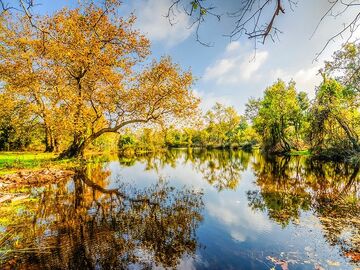 EDİRNE İĞNEADA LONGOZ ORMANLARI TURU (1 GECE KONAKLAMA) 2026