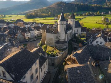 ALSACE COLMAR TURU & ALP DAĞLARINA ZİRVE YOLCULUĞU 2026