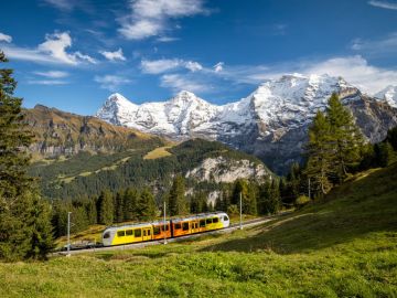 NOEL DÖNEMİ ÖZEL: ALSACE, COLMAR & TREN VE TELEFERİK İLE ALP ZİRVESİ (STUTGART - ZÜRİH)