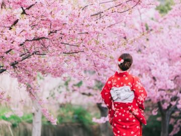 JAPONYA SAKURA ZAMANI